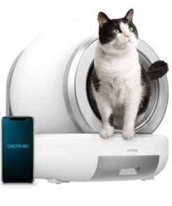 8ab91bf8a5723be582192f966d462032